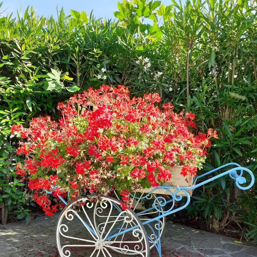 Hotel Garden B&B Marotta Buitenkant foto
